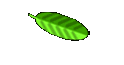 Walentin's